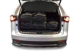 Travel bag set Lexus NX I (AZ10) 2014-2021 (3)